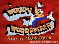 Приключения Вуди и его друзей / The Woody Woodpecker Show